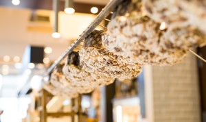 colomba di pasqua artigianale firenze